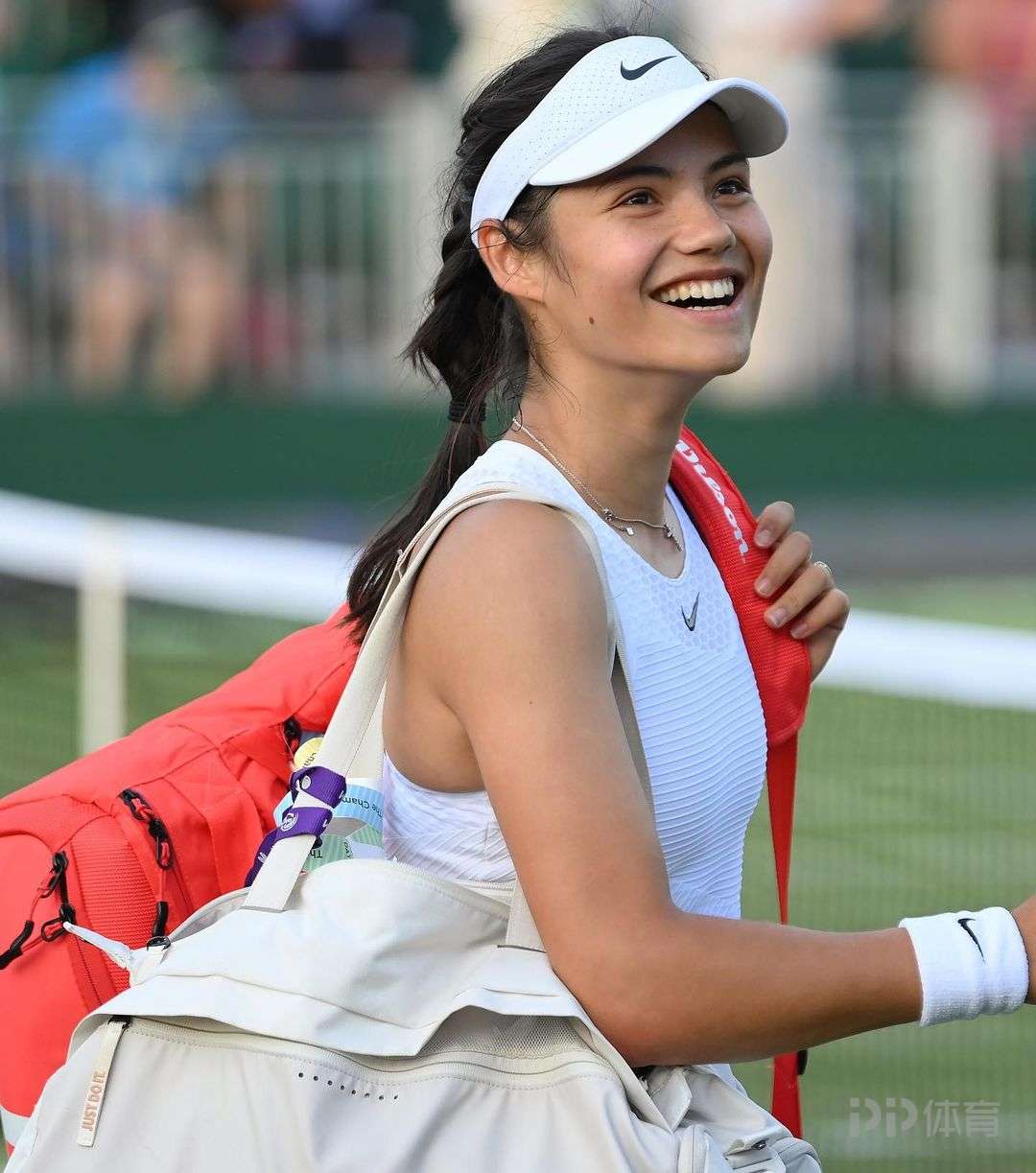 板球的争夺 板球的争夺